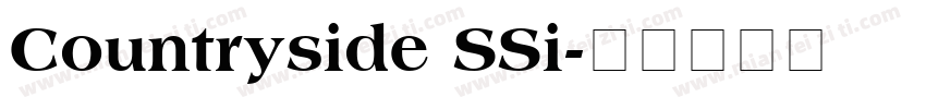 Countryside SSi字体转换